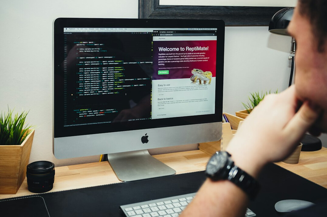 croatian programmer at desk